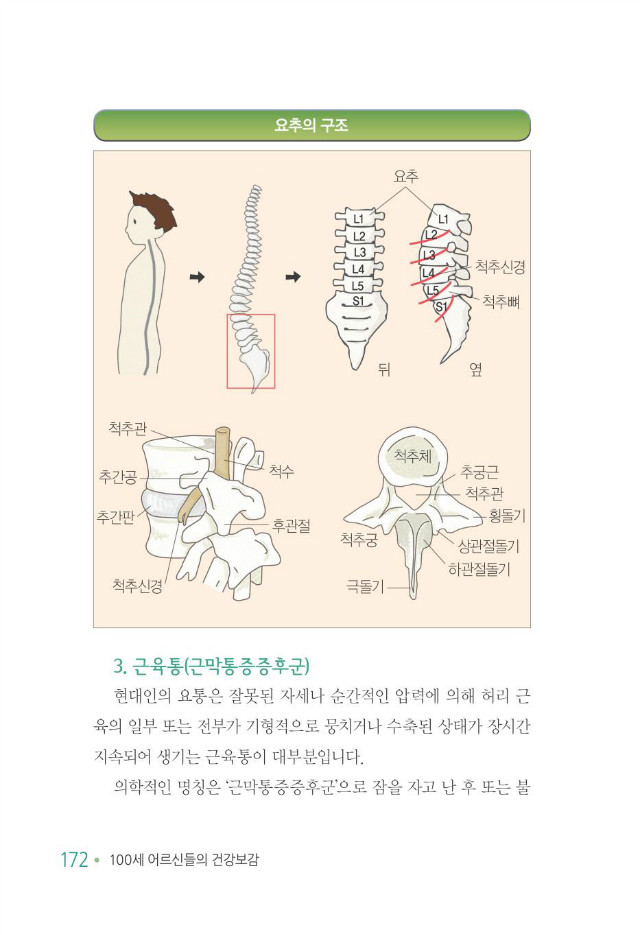 100세 어르신180.jpg