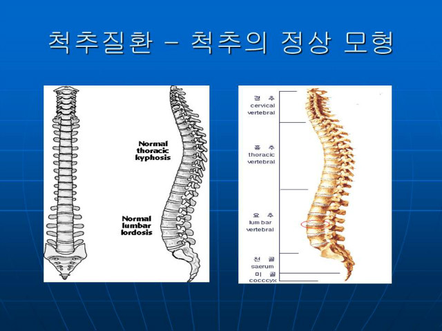 슬라이드42.JPG