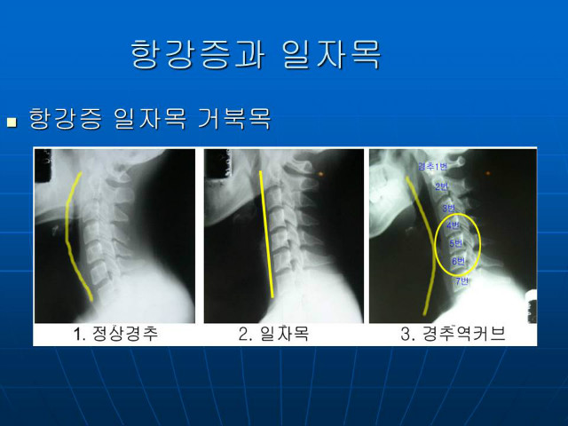 슬라이드46.JPG