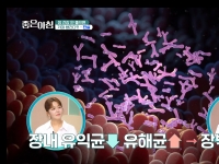 [이광연한의원 …