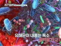 [이광연한의원 …