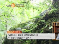 [이광연한의원]…