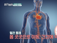 [이광연한의원 …