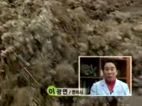 [이광연한의원]…