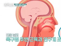 [이광연한의원 …