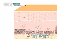 [이광연한의원 …