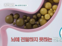 [이광연한의원 …