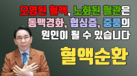 혈액 순환